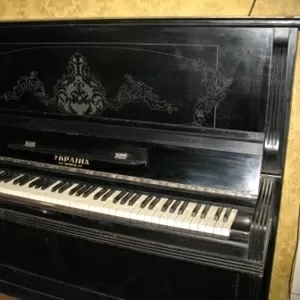 фортепиано (Петроф,  Вайнбах или Рёниш)